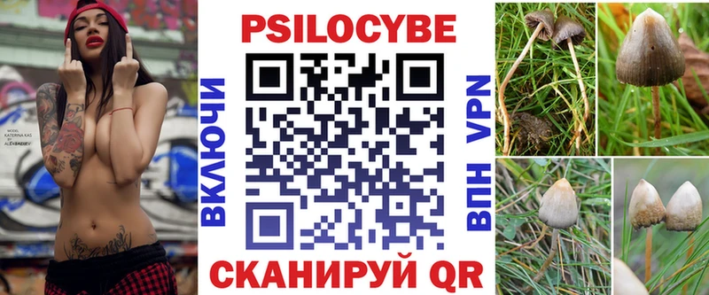 shop состав  купить закладку  Североморск  Псилоцибиновые грибы MAGIC MUSHROOMS 